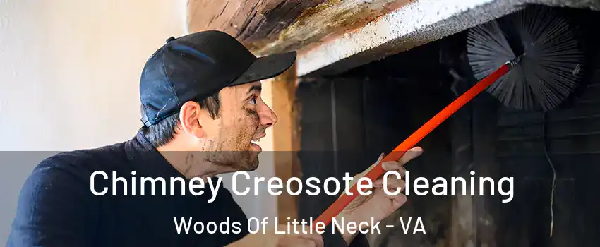 Chimney Creosote Cleaning Woods Of Little Neck - VA