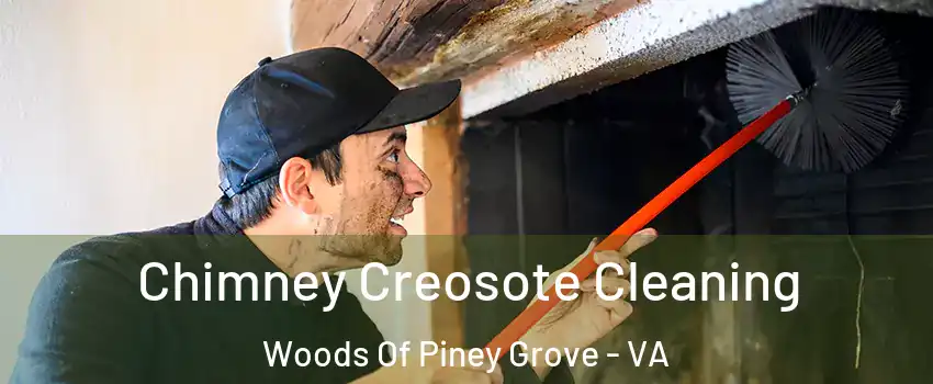 Chimney Creosote Cleaning Woods Of Piney Grove - VA