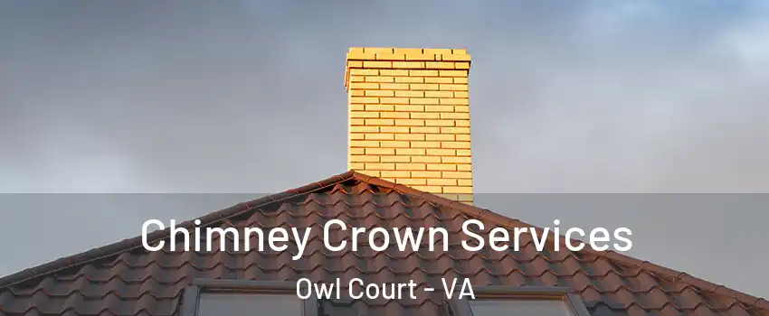 Chimney Crown Services Owl Court - VA