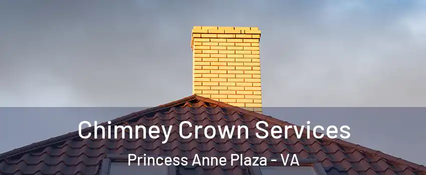 Chimney Crown Services Princess Anne Plaza - VA