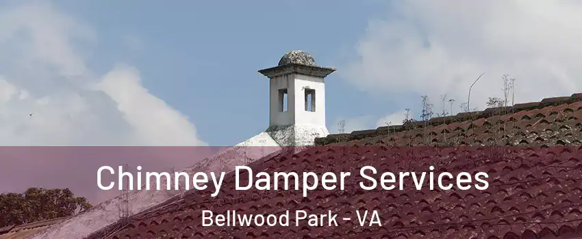 Chimney Damper Services Bellwood Park - VA