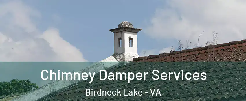 Chimney Damper Services Birdneck Lake - VA