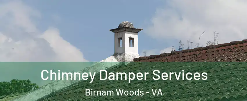 Chimney Damper Services Birnam Woods - VA
