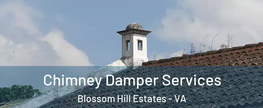 Chimney Damper Services Blossom Hill Estates - VA