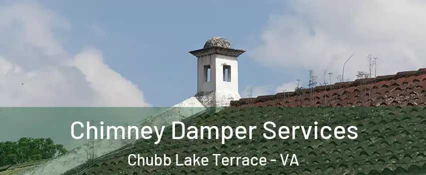 Chimney Damper Services Chubb Lake Terrace - VA
