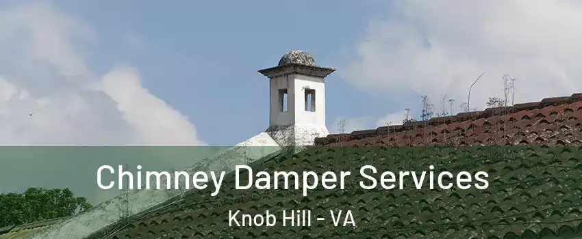 Chimney Damper Services Knob Hill - VA