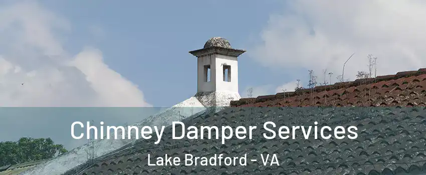 Chimney Damper Services Lake Bradford - VA