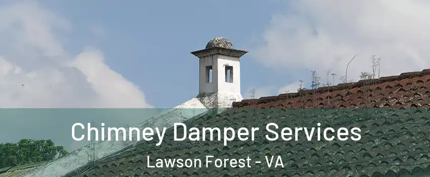 Chimney Damper Services Lawson Forest - VA