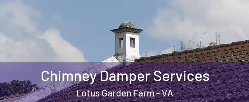 Chimney Damper Services Lotus Garden Farm - VA