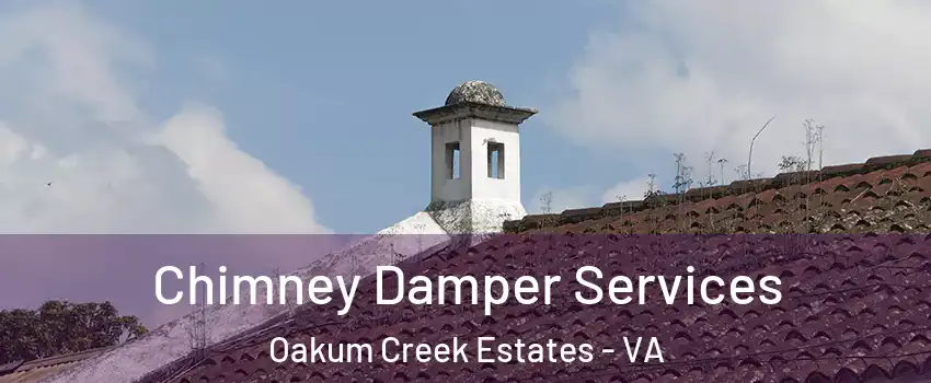 Chimney Damper Services Oakum Creek Estates - VA