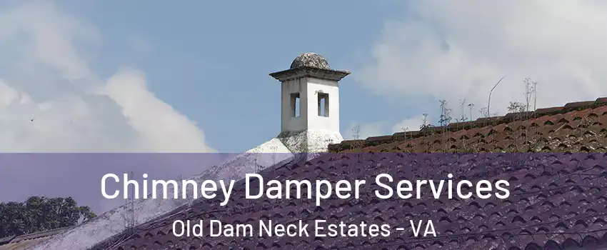 Chimney Damper Services Old Dam Neck Estates - VA