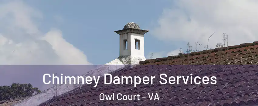 Chimney Damper Services Owl Court - VA