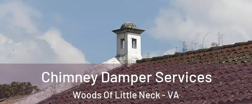 Chimney Damper Services Woods Of Little Neck - VA