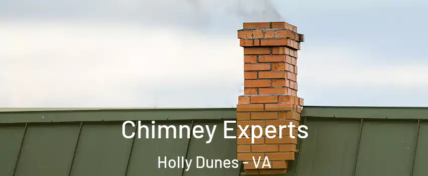 Chimney Experts Holly Dunes - VA