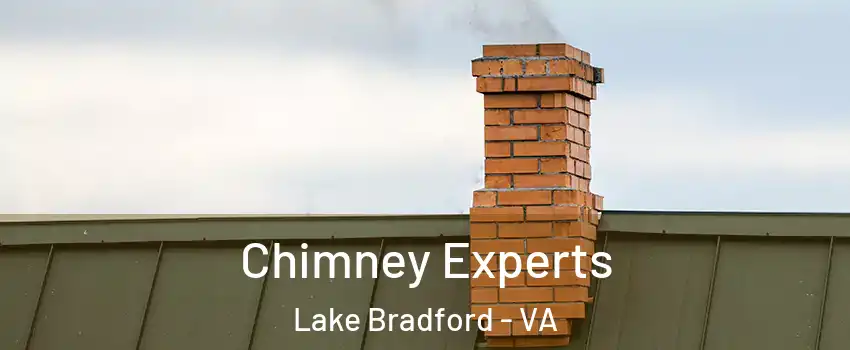 Chimney Experts Lake Bradford - VA