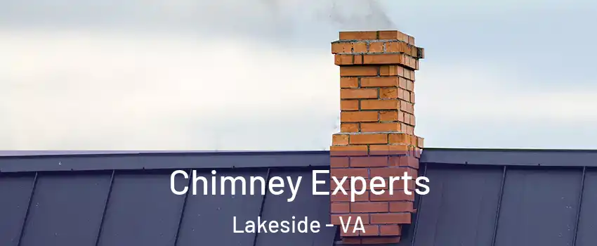 Chimney Experts Lakeside - VA