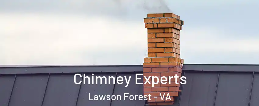 Chimney Experts Lawson Forest - VA