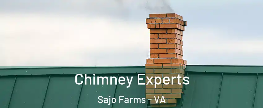 Chimney Experts Sajo Farms - VA