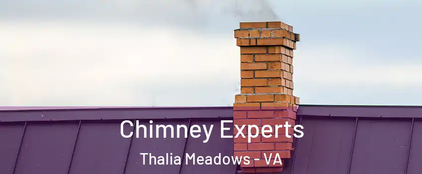 Chimney Experts Thalia Meadows - VA