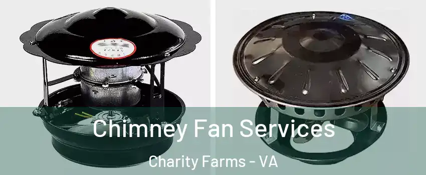 Chimney Fan Services Charity Farms - VA
