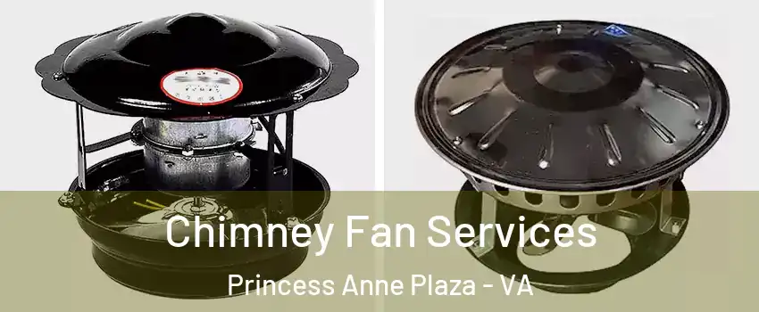 Chimney Fan Services Princess Anne Plaza - VA