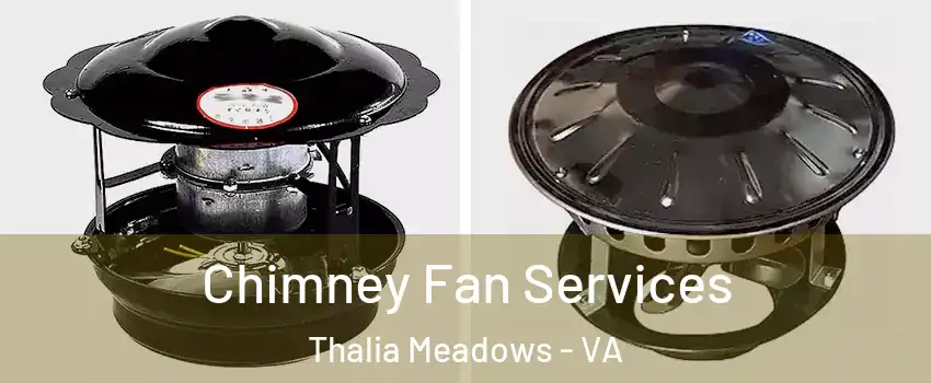Chimney Fan Services Thalia Meadows - VA
