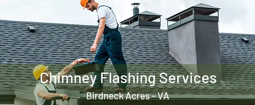 Chimney Flashing Services Birdneck Acres - VA