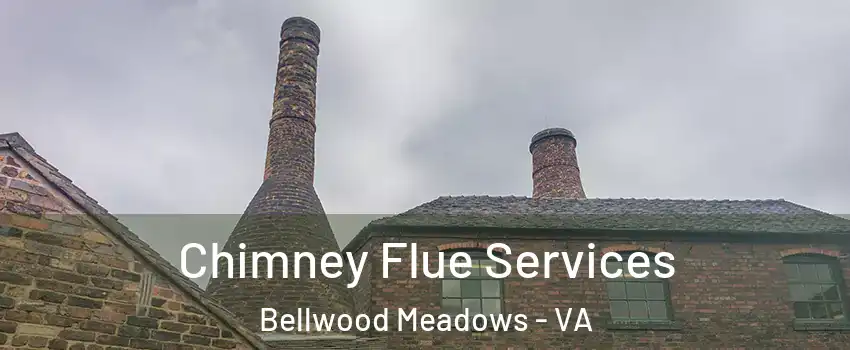 Chimney Flue Services Bellwood Meadows - VA