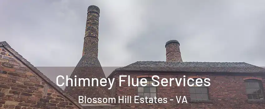 Chimney Flue Services Blossom Hill Estates - VA
