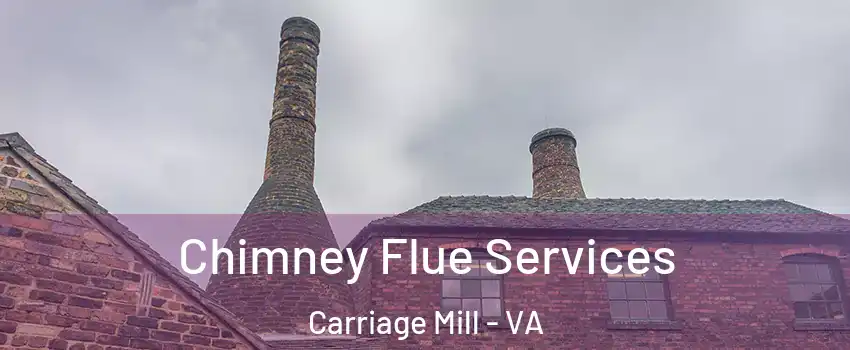 Chimney Flue Services Carriage Mill - VA