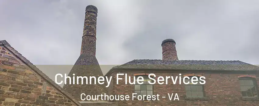 Chimney Flue Services Courthouse Forest - VA