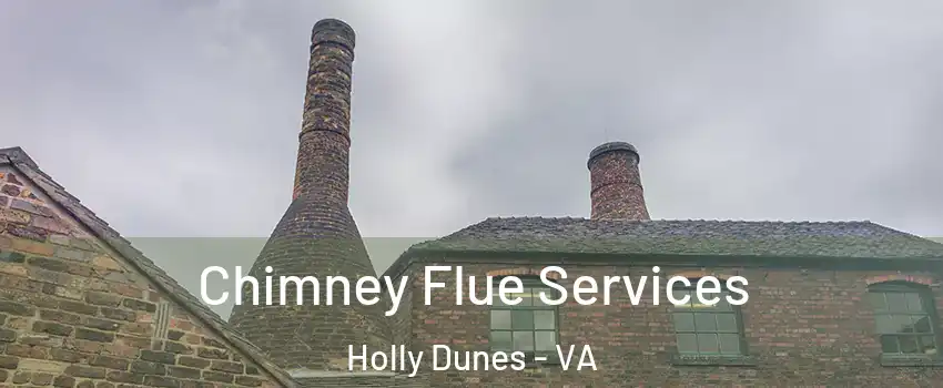 Chimney Flue Services Holly Dunes - VA