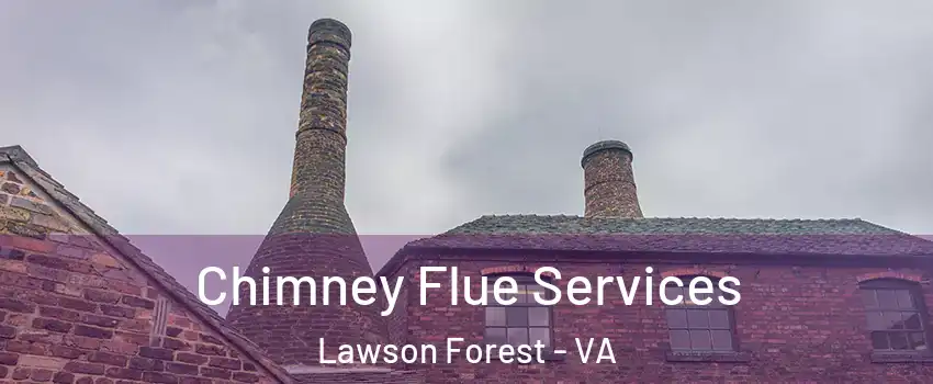 Chimney Flue Services Lawson Forest - VA
