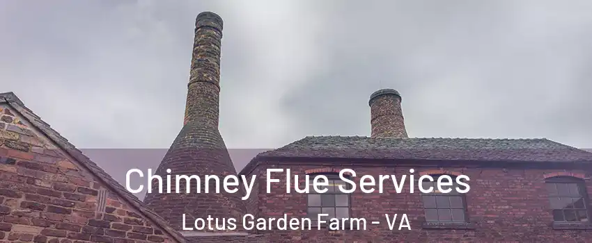 Chimney Flue Services Lotus Garden Farm - VA