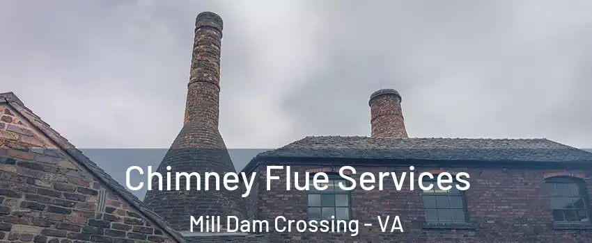 Chimney Flue Services Mill Dam Crossing - VA