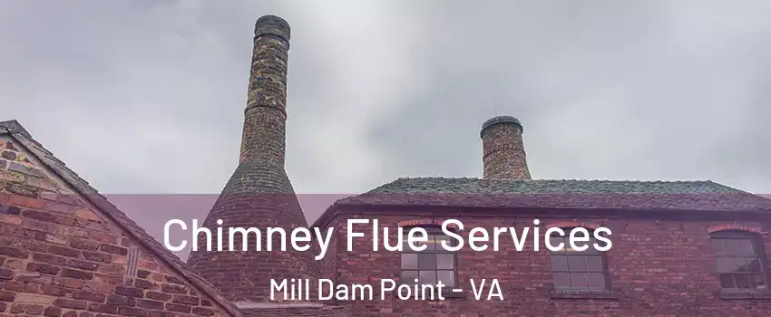 Chimney Flue Services Mill Dam Point - VA