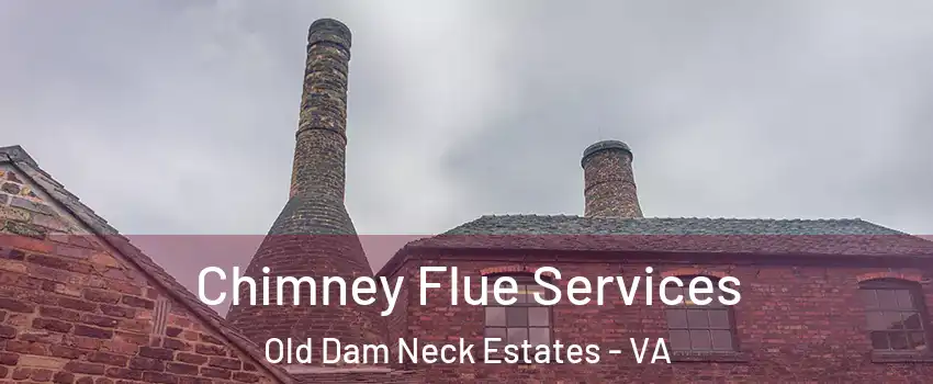 Chimney Flue Services Old Dam Neck Estates - VA