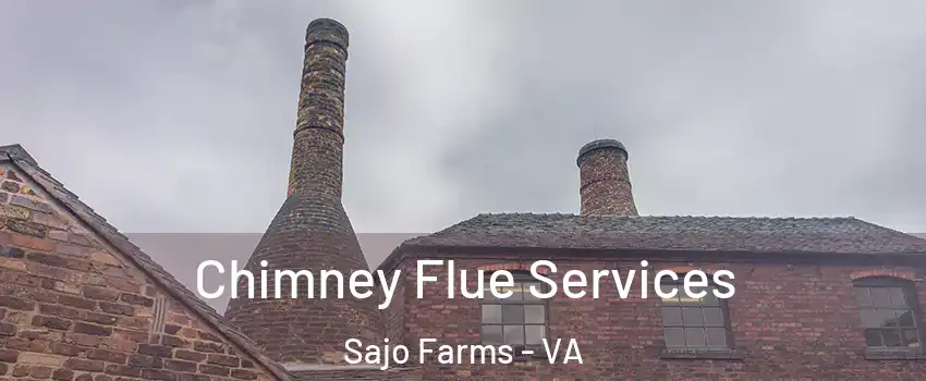 Chimney Flue Services Sajo Farms - VA