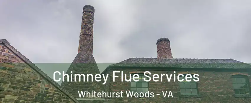 Chimney Flue Services Whitehurst Woods - VA