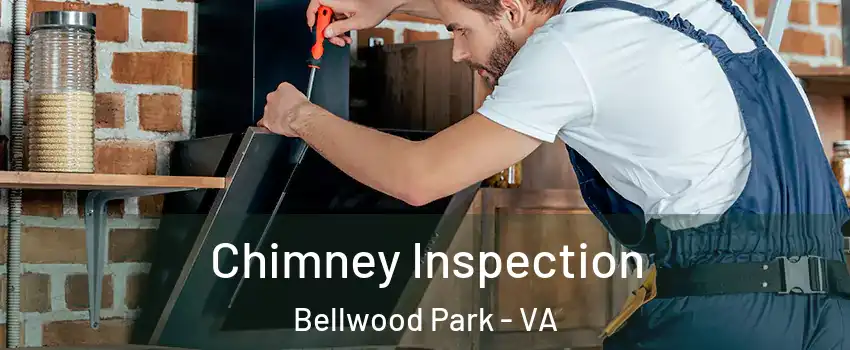 Chimney Inspection Bellwood Park - VA