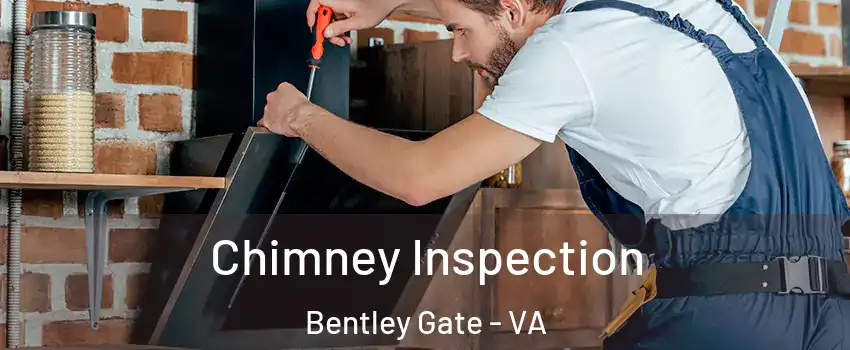 Chimney Inspection Bentley Gate - VA