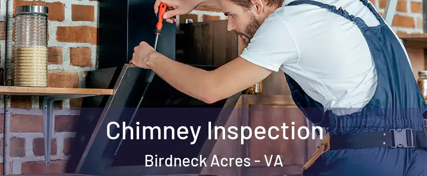 Chimney Inspection Birdneck Acres - VA