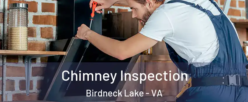 Chimney Inspection Birdneck Lake - VA