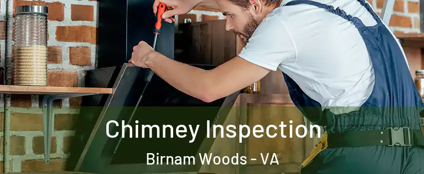 Chimney Inspection Birnam Woods - VA