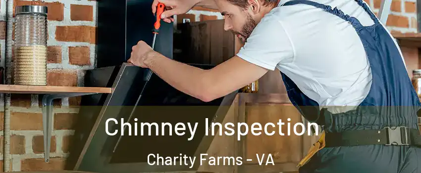 Chimney Inspection Charity Farms - VA