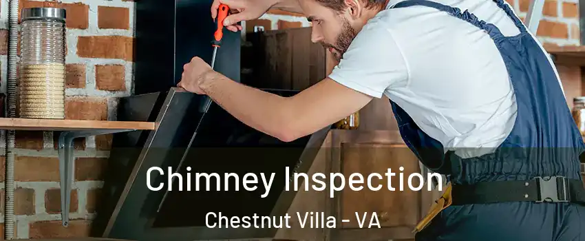 Chimney Inspection Chestnut Villa - VA