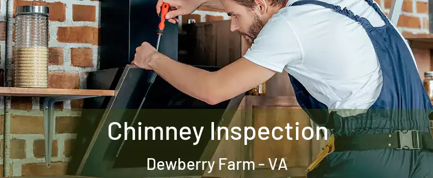 Chimney Inspection Dewberry Farm - VA