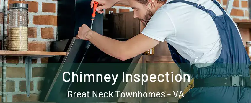 Chimney Inspection Great Neck Townhomes - VA