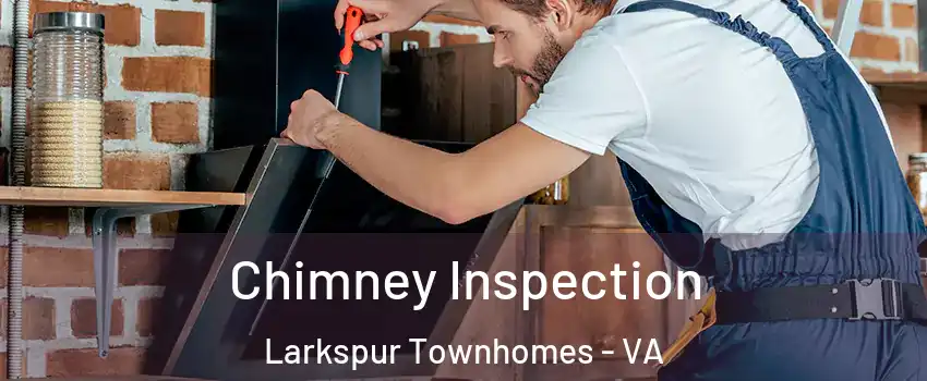 Chimney Inspection Larkspur Townhomes - VA