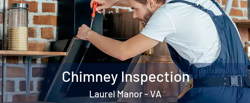 Chimney Inspection Laurel Manor - VA
